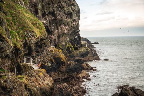 The Gobbins Cliff Path, Islandmagee, Co_master