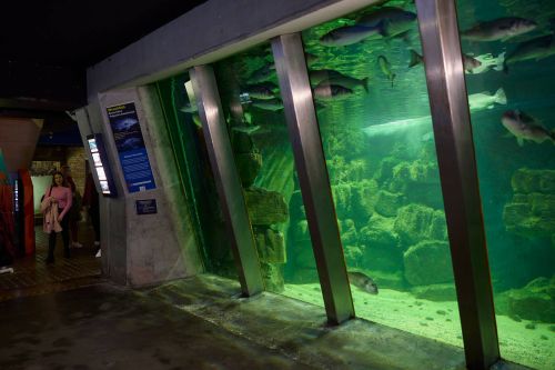 Galway Atlantaquaria, Galway City_master