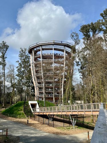 Avondale, Treetop Walk, Co Wicklow_master