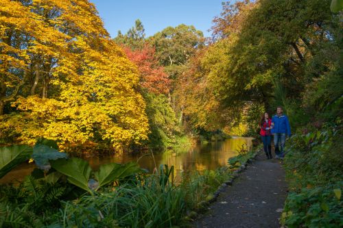 Couple walking in Mount Usher Gardens 6_master