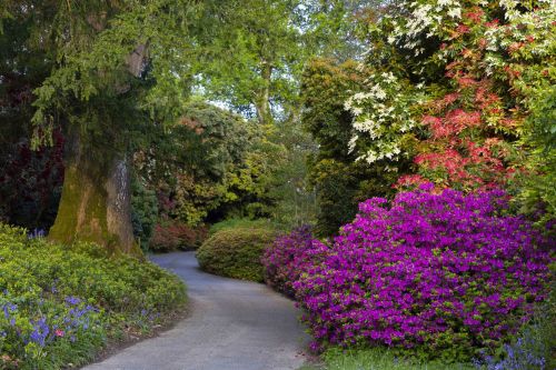 Mount Congreve 