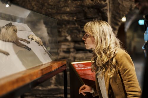 Christ Church Cathedral_April_Graded_233