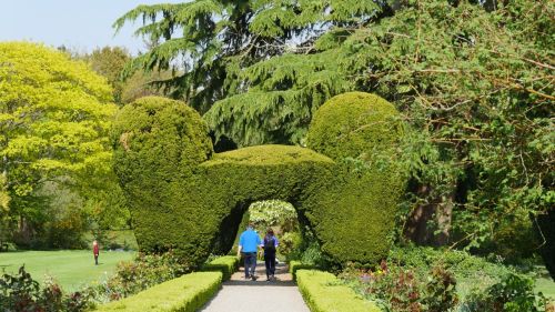 Altamont Gardens, Tullow, Co Carlow_TI71B79