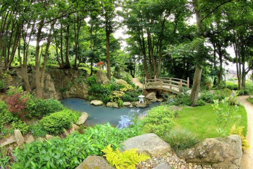 Lafcadio Hearn Japanese Gardens, Tramore, Co Waterford_TI7S33