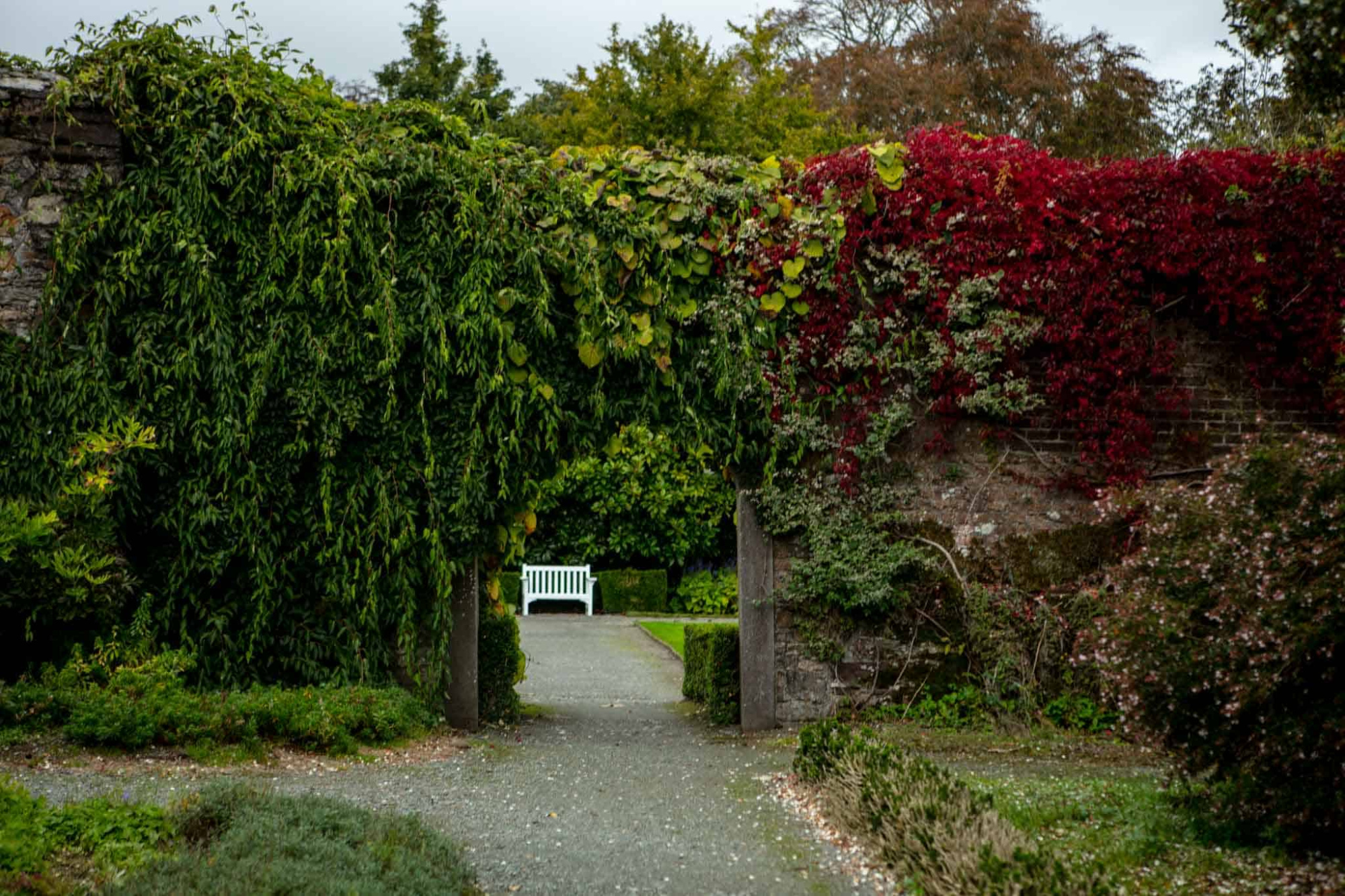 visit waterford mount congreve gardens waterford 1 copy 0