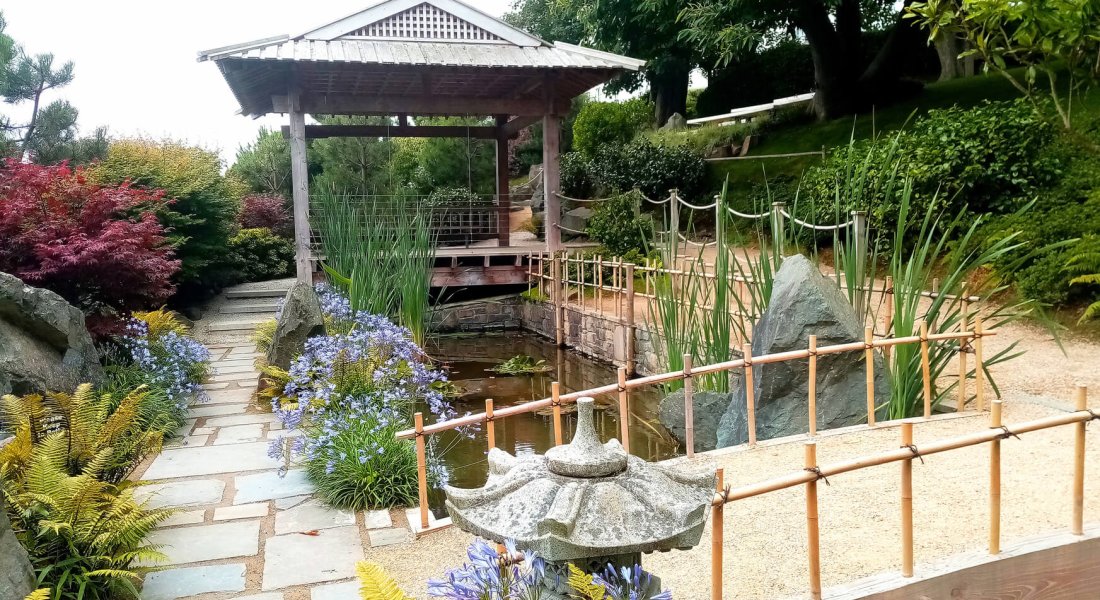 Dublin to Waterford Garden Tour 